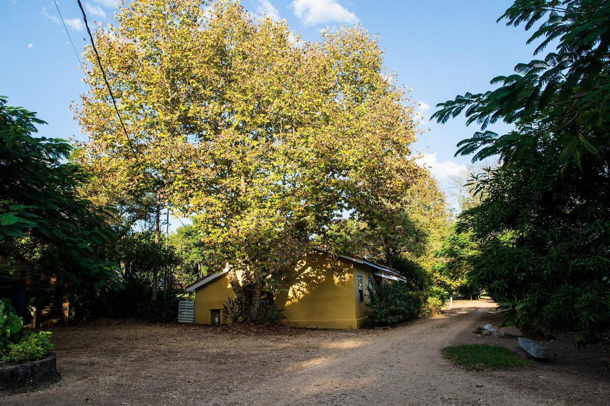 Fazenda Santa Thereza - Itapira Luaran gambar